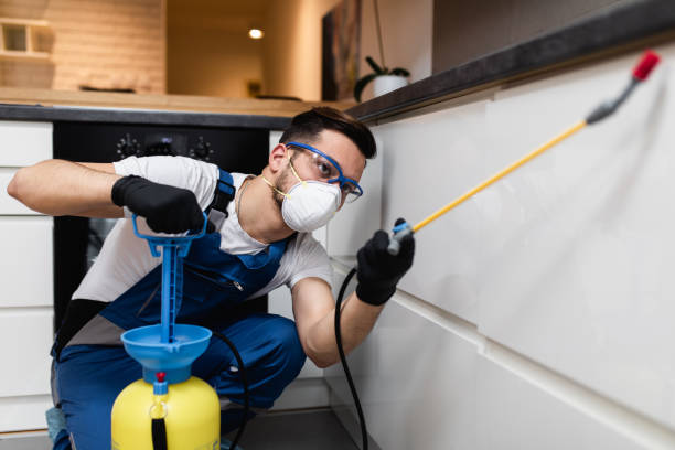 Best Mosquito Control Services  in Summit View, WA