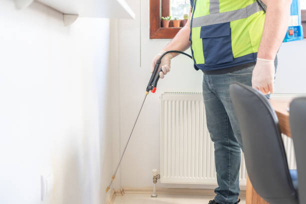 Best Flea Control Services  in Summit View, WA
