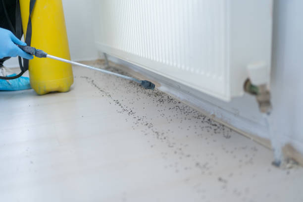Pest Control for Restaurants in Summit View, WA