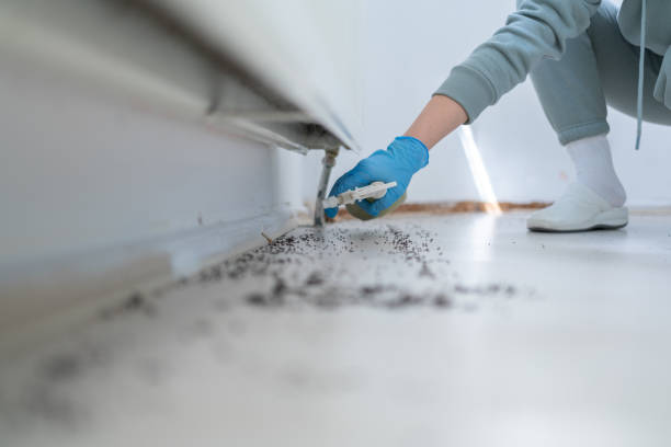 Best Affordable Pest Control Services  in Summit View, WA